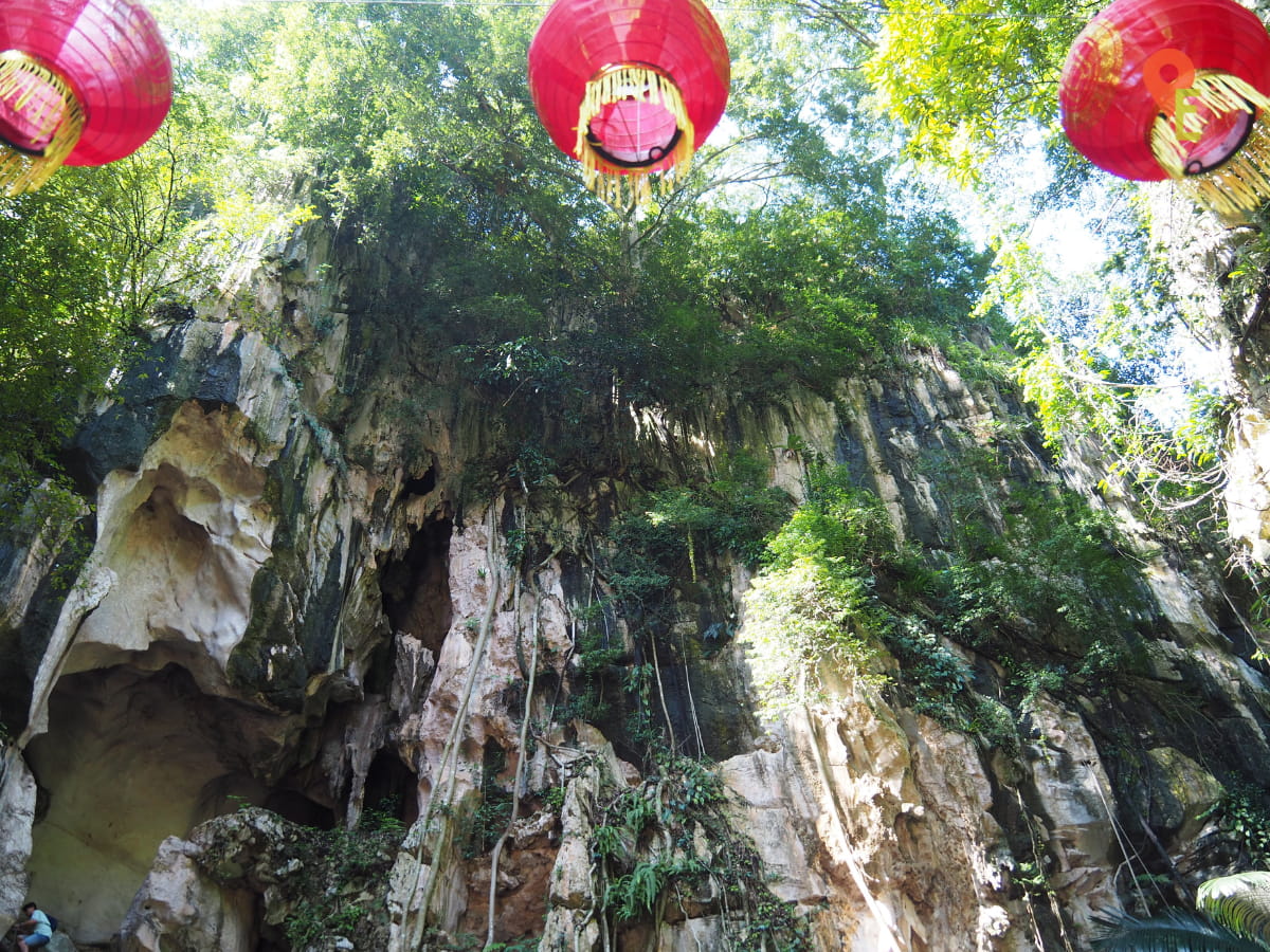 At The Natural Clearing Behind Kin Loong Valley Chang Jiang White Coffee