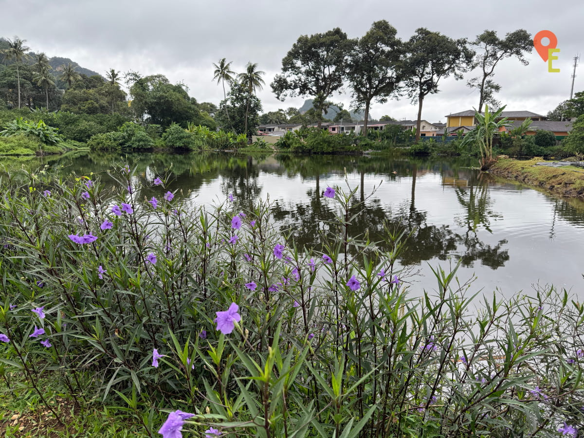 Lake View At Tambun Musk Melon Farm