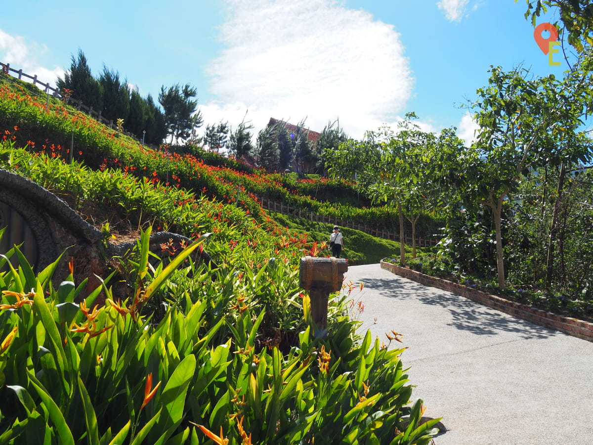 Path Down From Hobbitoon Village