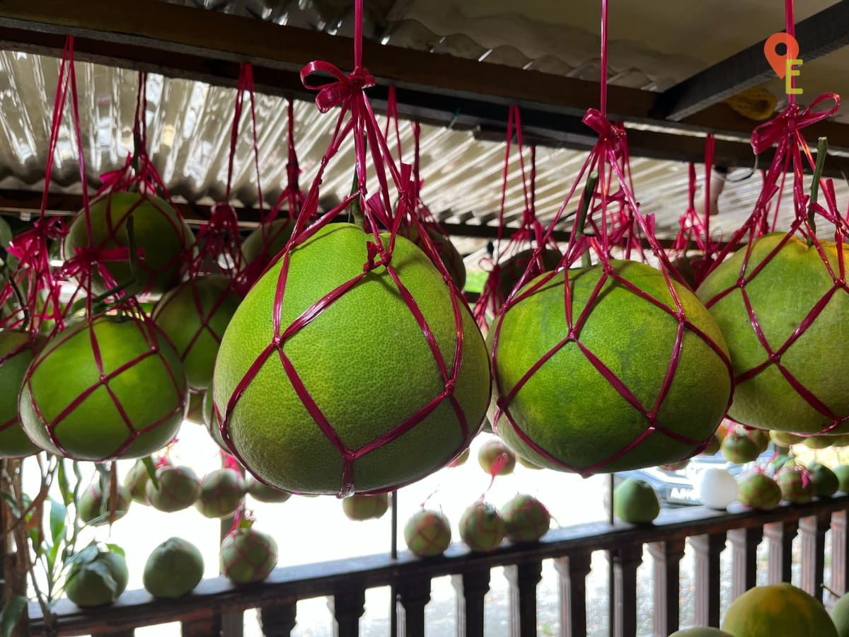 Pomelo For Sale In Tambun, Ipoh