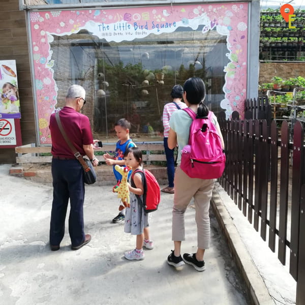 Taking A Family To Green View Garden In Cameron Highlands